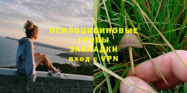 МДПВ Алзамай